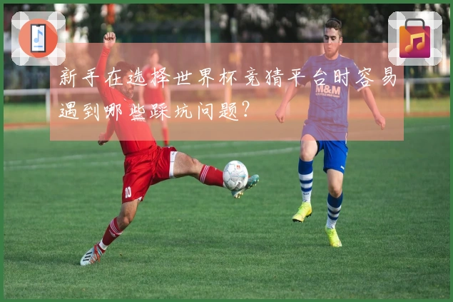 新手在选择世界杯竞猜平台时容易遇到哪些踩坑问题？