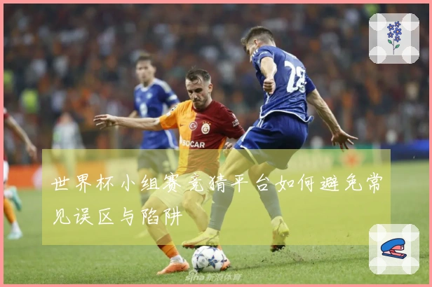 世界杯小组赛竞猜平台如何避免常见误区与陷阱