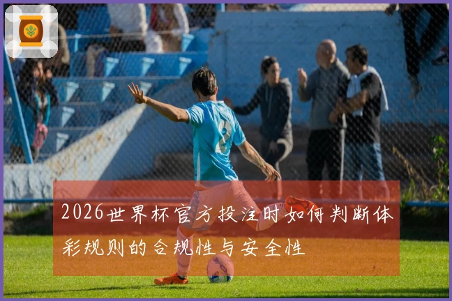 2026世界杯官方投注时如何判断体彩规则的合规性与安全性