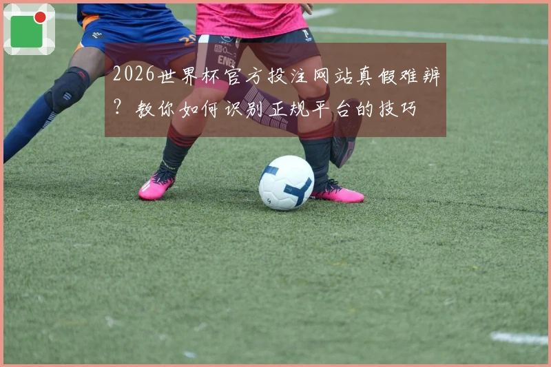 2026世界杯官方投注网站真假难辨？教你如何识别正规平台的技巧