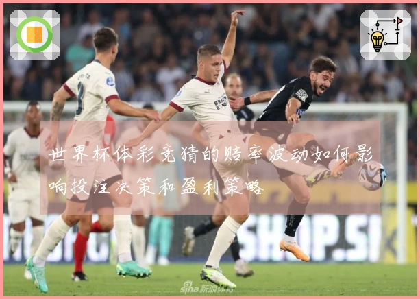 世界杯体彩竞猜的赔率波动如何影响投注决策和盈利策略