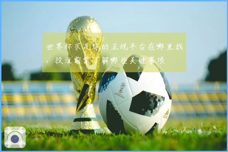 世界杯买足球的正规平台在哪里找，投注前需了解哪些关键事项