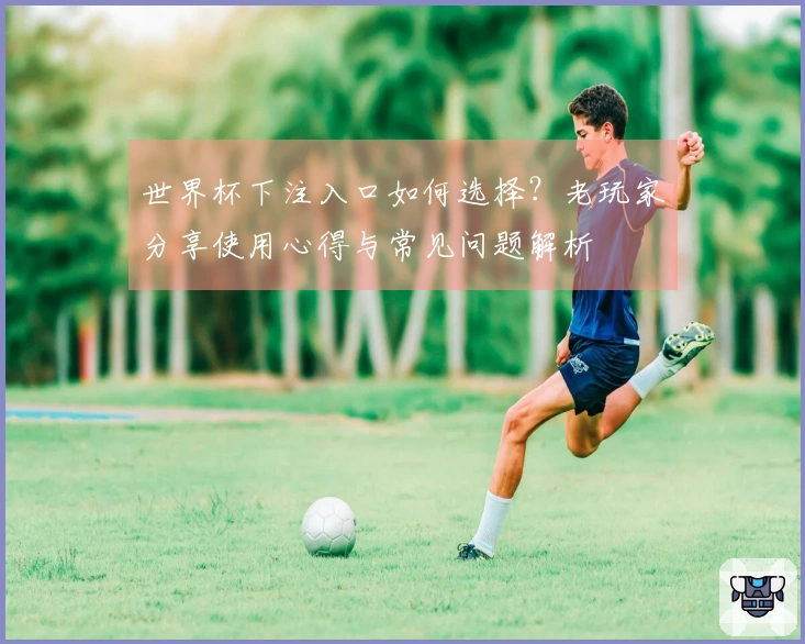 世界杯下注入口如何选择？老玩家分享使用心得与常见问题解析