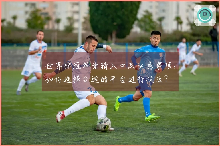 世界杯冠军竞猜入口及注意事项，如何选择合适的平台进行投注？