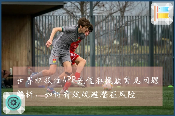 世界杯投注APP充值和提款常见问题解析，如何有效规避潜在风险