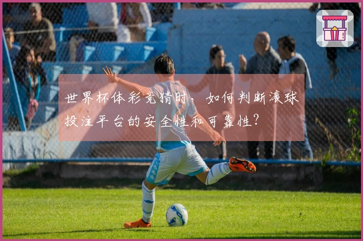 世界杯体彩竞猜时，如何判断滚球投注平台的安全性和可靠性？