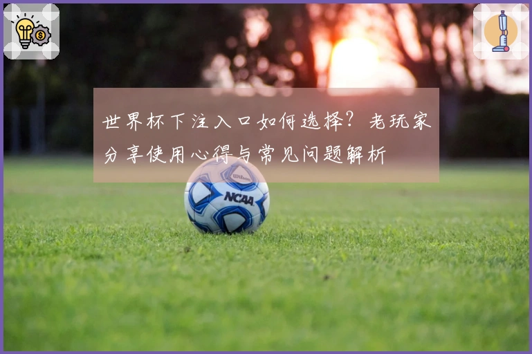 世界杯下注入口如何选择？老玩家分享使用心得与常见问题解析