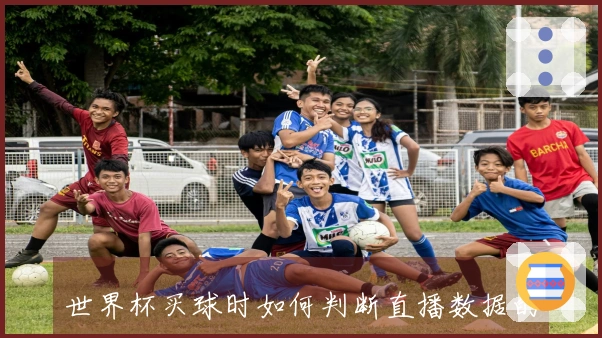 世界杯买球时如何判断直播数据的真实性与可靠性